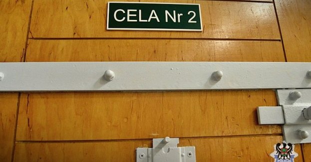 Policjanci z Wałbrzycha oraz powiatu wałbrzyskiego od wielu już miesięcy praktycznie codziennie prowadzą działania poszukiwawcze mające na celu zatrzymanie osób poszukiwanych na naszym terenie. Od czwartkowego przedpołudnia do dzisiaj zatrzymali łącznie osiem osób, które z różnych powodów ukrywały się przed wymiarem sprawiedliwości. Czterech z mężczyzn trafiło już za kraty Aresztu Śledczego w Świdnicy, troje poszukiwanych po wykonanych czynnościach procesowych zostało zwolnionych do miejsca zamieszkania, a nieletni umieszczony w młodzieżowym ośrodku wychowawczym.